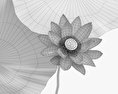 Fiore di loto Modello 3D