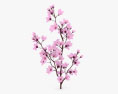 Cherry Blossom 3d model