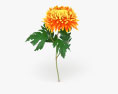 Chrysanthemen 3D-Modell
