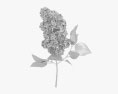 라일락 꽃 3D 모델 