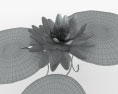 Water Lily 3d model