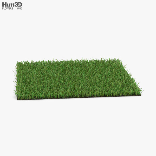 Трава 3D модель