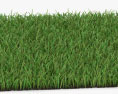 Grass 3d model