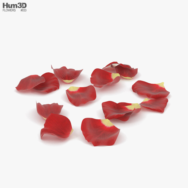 장미 꽃잎 3D 모델 