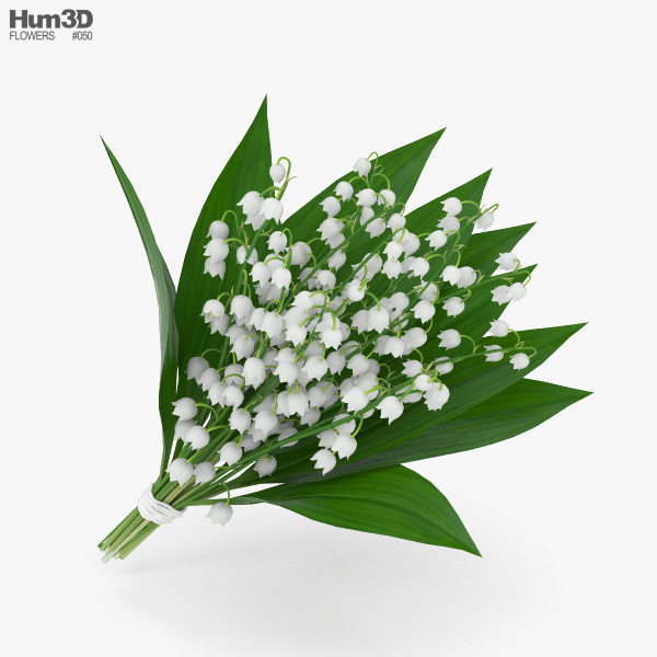 Lily of the valley 3D model