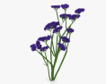 Wavyleaf sea lavender 3d model
