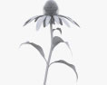 Echinacea Modelo 3d