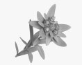 Flor de las nieves Modelo 3D