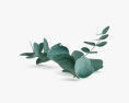 Eucalyptus Gunnii Modello 3D