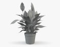 Spathiphyllum Modelo 3D