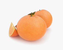 橙 3D模型