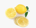 Lemon 3d model