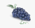 Grape 3d model