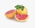 Grapefruit 3D-Modell