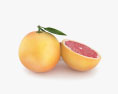 Grapefruit 3d model