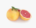 Grapefruit 3d model