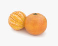 Mandarin Orange 3d model