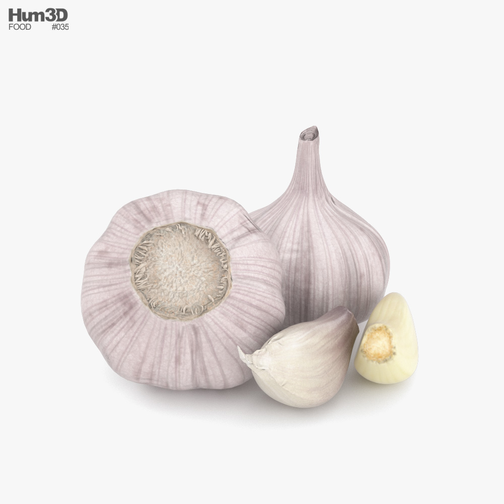 Garlic 3D model