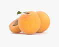 Apricot 3d model