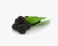 Blackberry 3d model