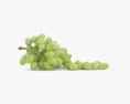 Зеленый виноград 3D модель