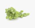 Зеленый виноград 3D модель