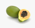 Papaya 3d model