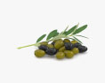 Olive 3d model