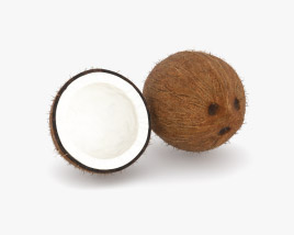 Coconut 3D model