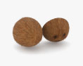 Coconut 3d model