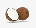 코코넛 3D 모델 