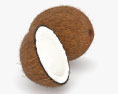ココナッツ 3Dモデル