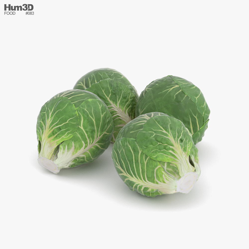 Brussels Sprout 3D model