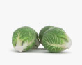 Brussels Sprout 3d model