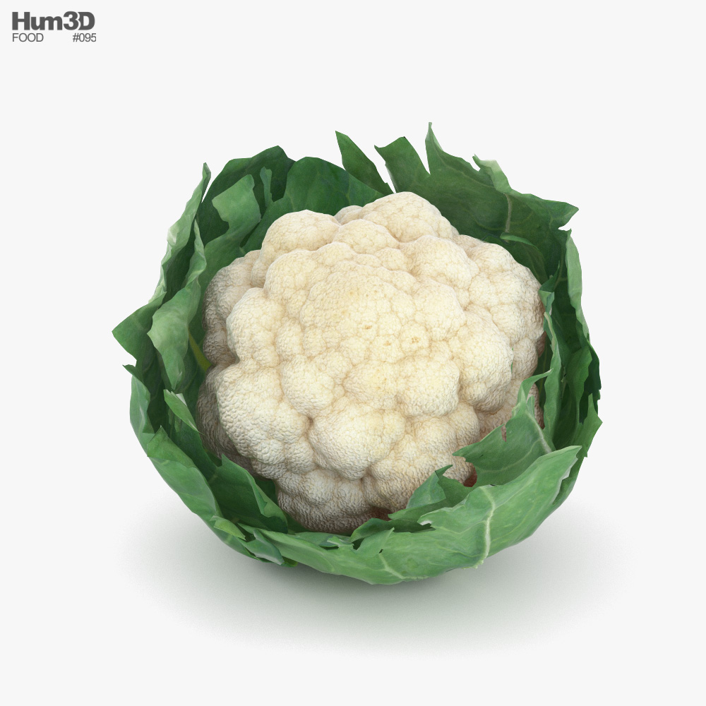 花椰菜 3D模型
