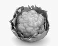 花椰菜 3D模型