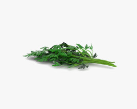 parsley 3d model