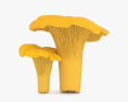 Лисичка гриб 3D модель
