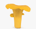 살구 버섯 3D 모델 