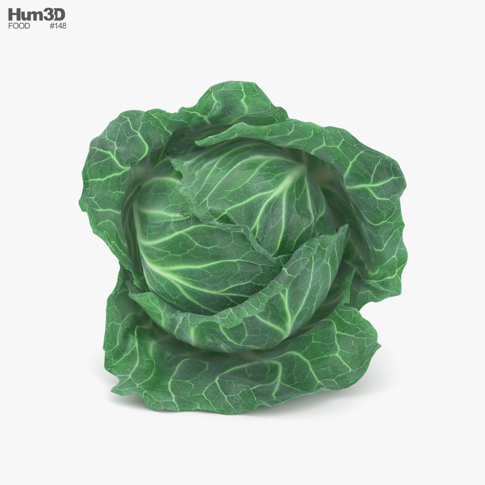 Cabbage 3D model