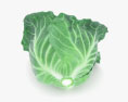 Cabbage 3d model