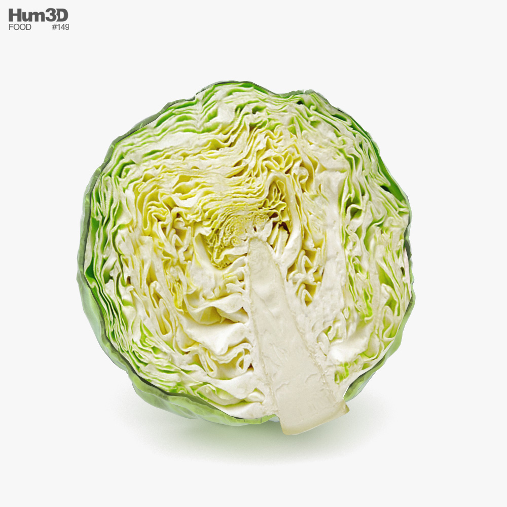Half a Cabbage 3D model