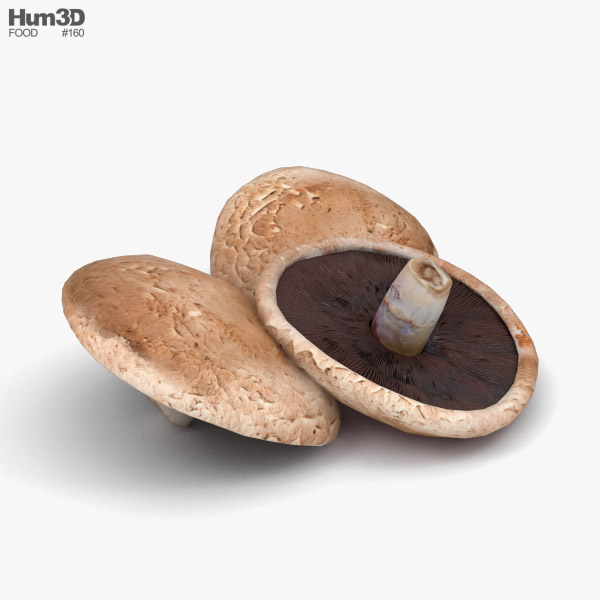 波多贝罗蘑菇 3D模型