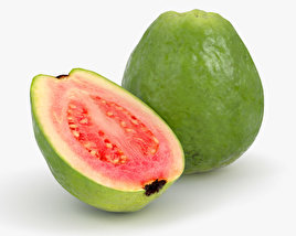 Guava 3D model