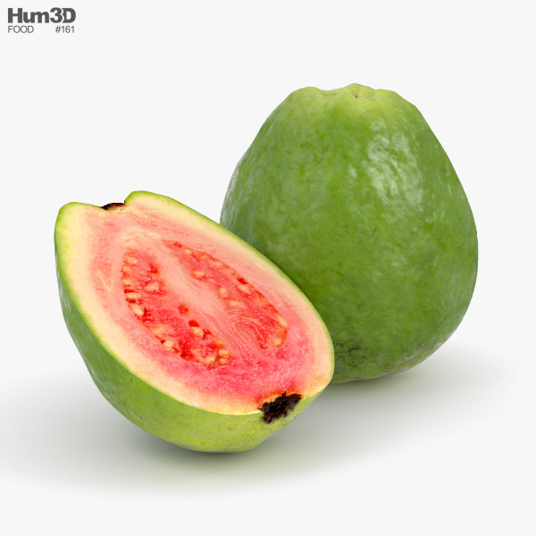 Guava 3D model