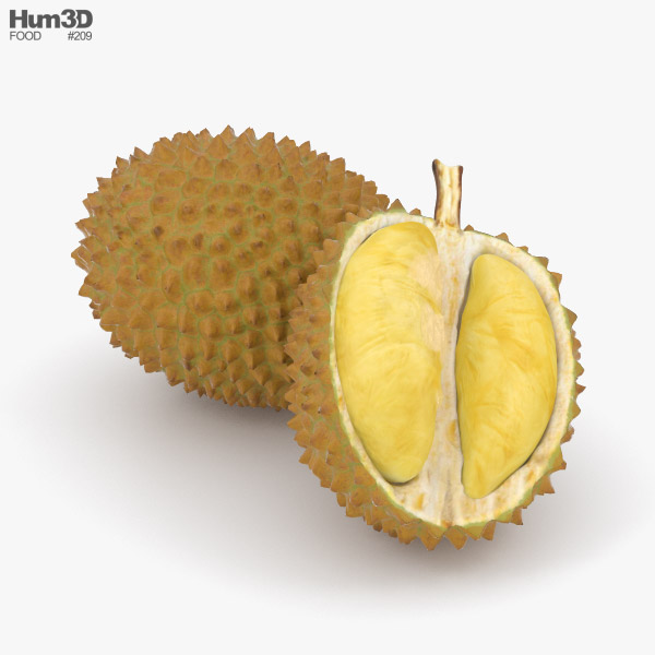 Durian Modelo 3d