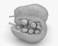 Jackfrucht 3D-Modell