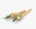 Horseradish 3d model