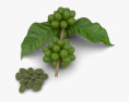 Grüne Kaffeebohnen 3D-Modell