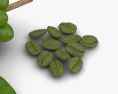 Green Coffee Beans 3d model